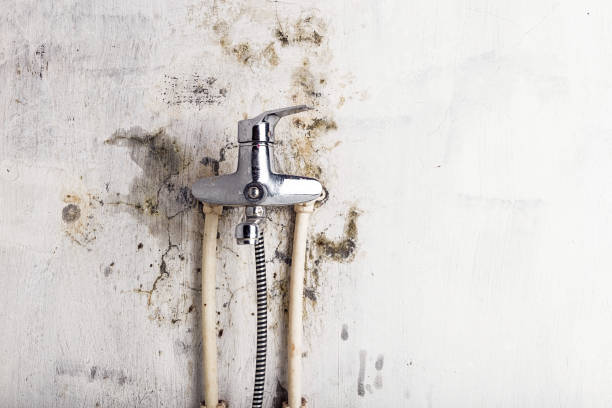 Best Residential Mold Removal  in Lorena, TX