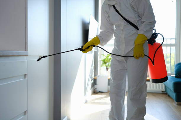 Best Crawl Space Mold Removal  in Lorena, TX